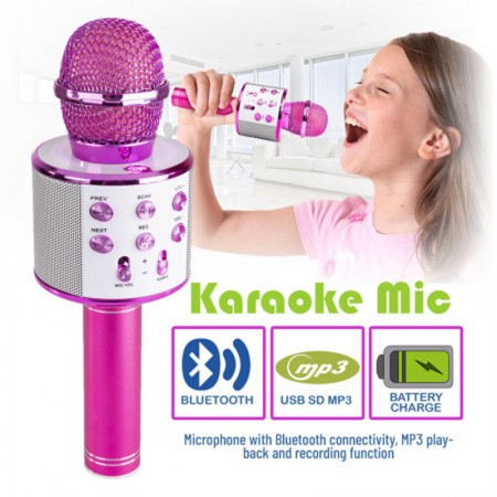 Wireless Bluetooth Karaoke Microphone Speaker